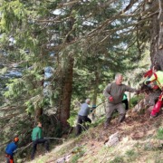 schwenden_1